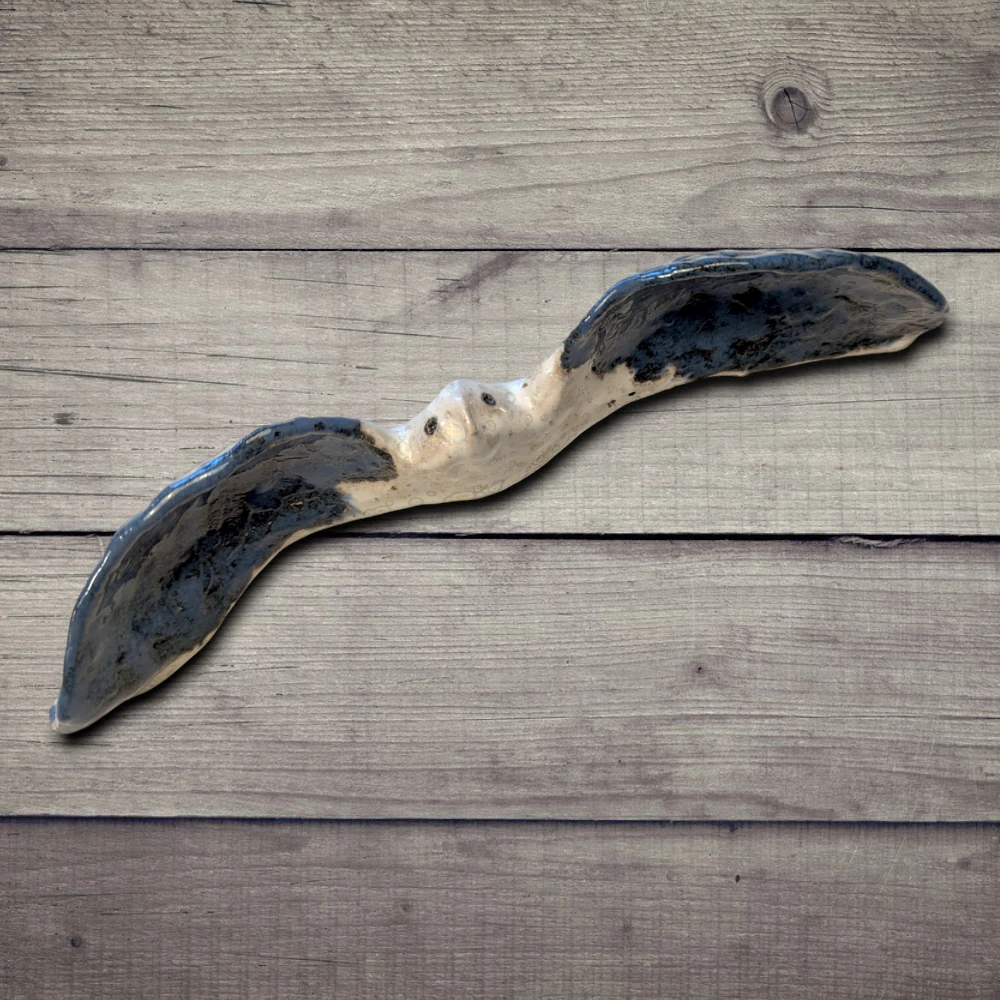 Birds of Art - Charlotte