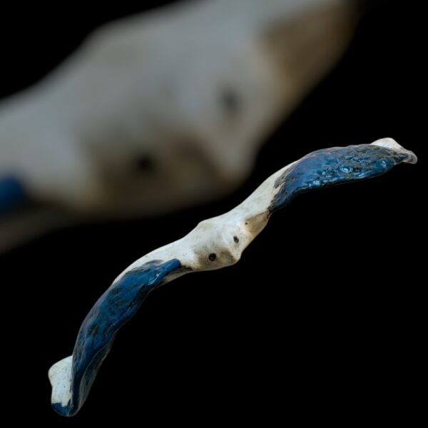 Birds of Art - Charlotte