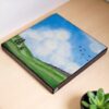 The Miracle of Nature 1