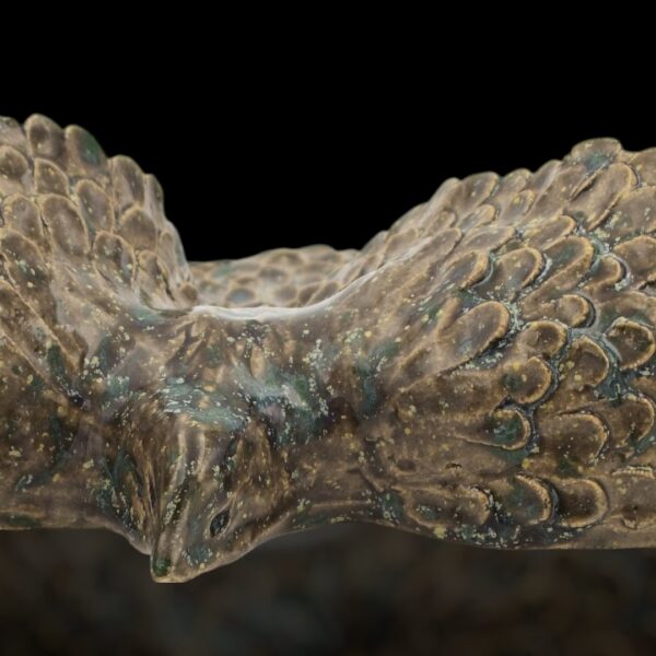 Birds of Nature - Forest Feather