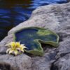 IMG_4815-Photoroom Waterlilly 3