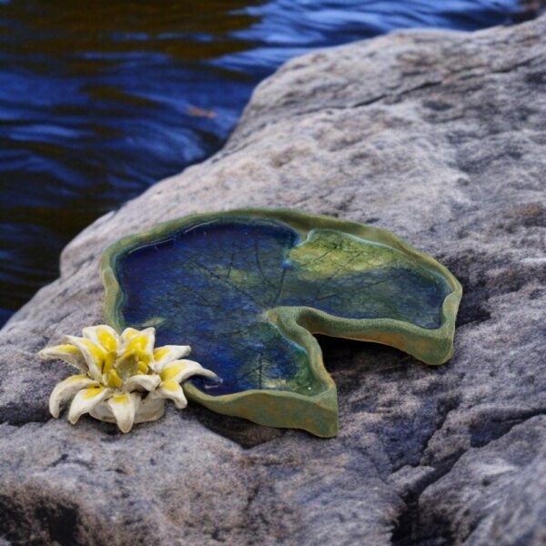 IMG_4815-Photoroom Waterlilly 3
