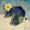 IMG_5050-Photoroom Waterlilly 3