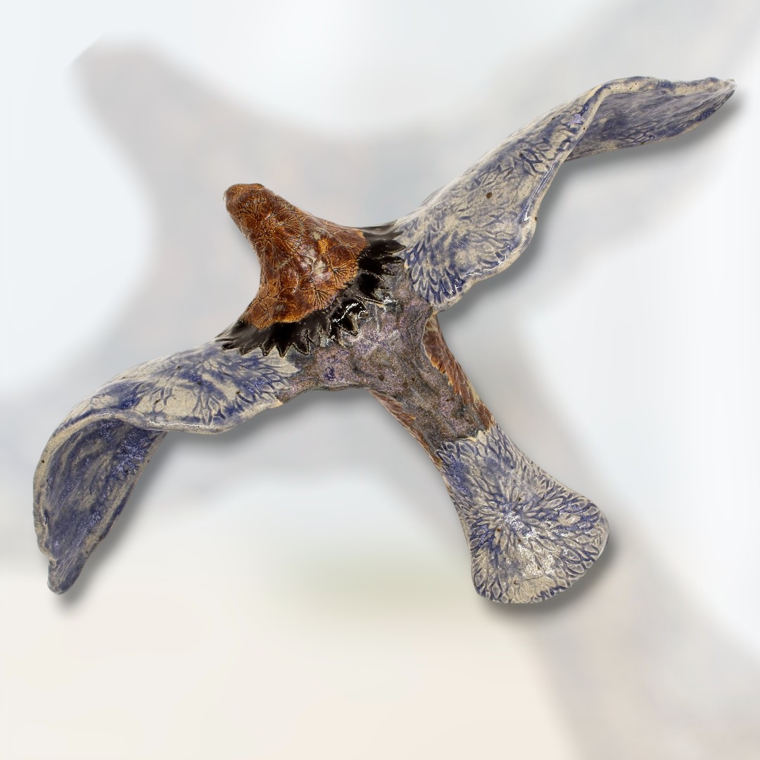 Birds of Nature - Eagle Drift