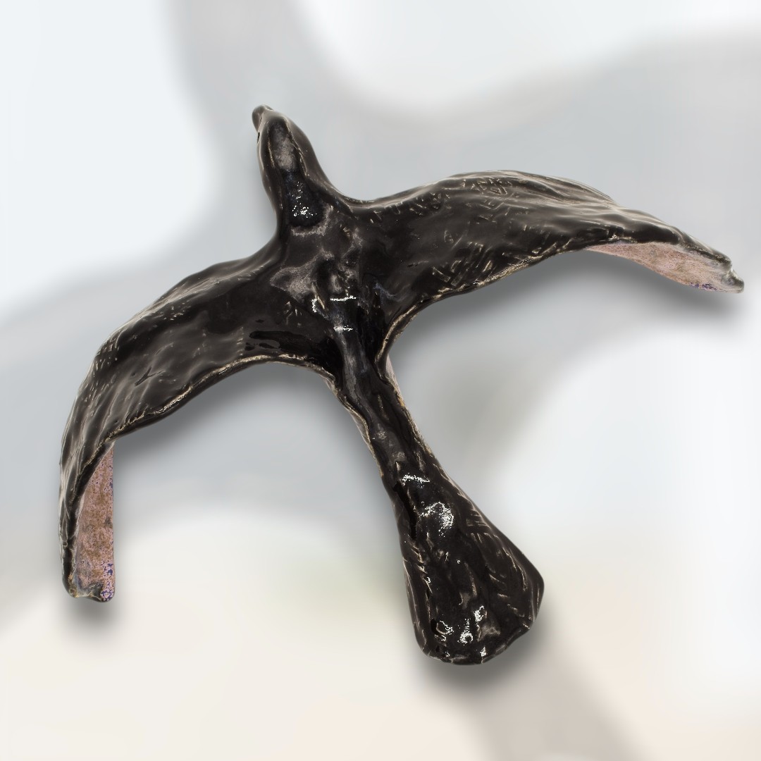 Birds of Nature - Black Voyage